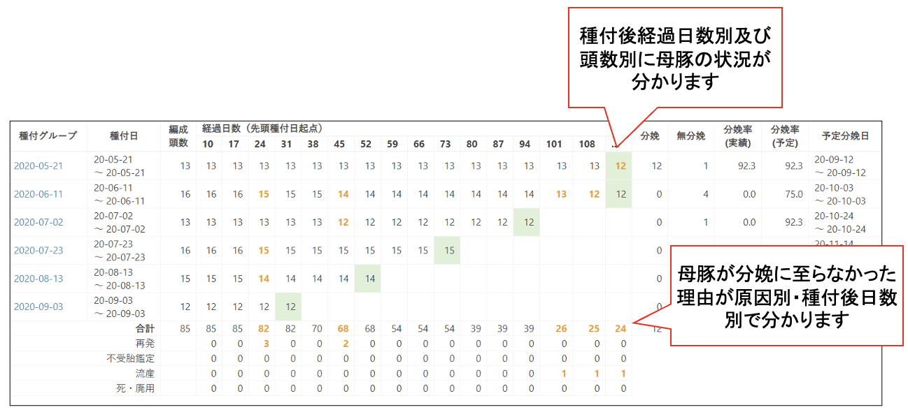 空胎中の母豚をリスト化で発情見逃しを低減。
前産時に白子の多かった母豚のリスト化で優先的な分娩介護の実施が可能。
分娩回転率改善や、生存産子数の向上に寄与。